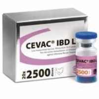 Cevac IBD L